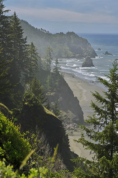 OR: South Coast Region, Curry County, South Coast, Boardman State Scenic Corridor, Arch Rock, Cliffs plunge to a secluded beach, by Arch Rock [Ask for #278.242.]