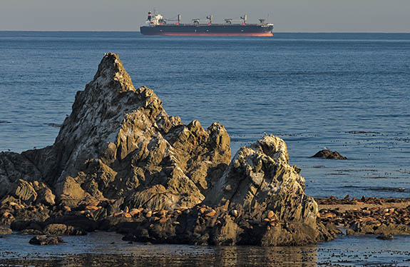 OR: South Coast Region, Coos County, Coos Bay Area, Cape Arago Parks, Shore Acres State Park, Shore Acres Cliffs, A freighter approaches the harbor at Coos Bay, viewed over a sea stack, as seen from the cliffs [Ask for #278.570.]