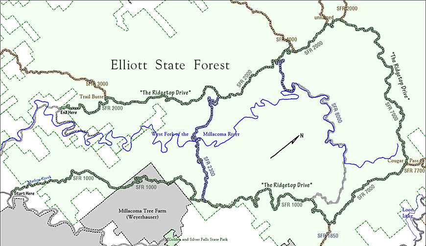 OR: South Coast Region, Coos County, Coast Range, Elliott State Forest, Elliott State Forest's Ridgetop Drive, in the Coast Range between Coos Bay and Reedsport. [Ask for #990.130.]